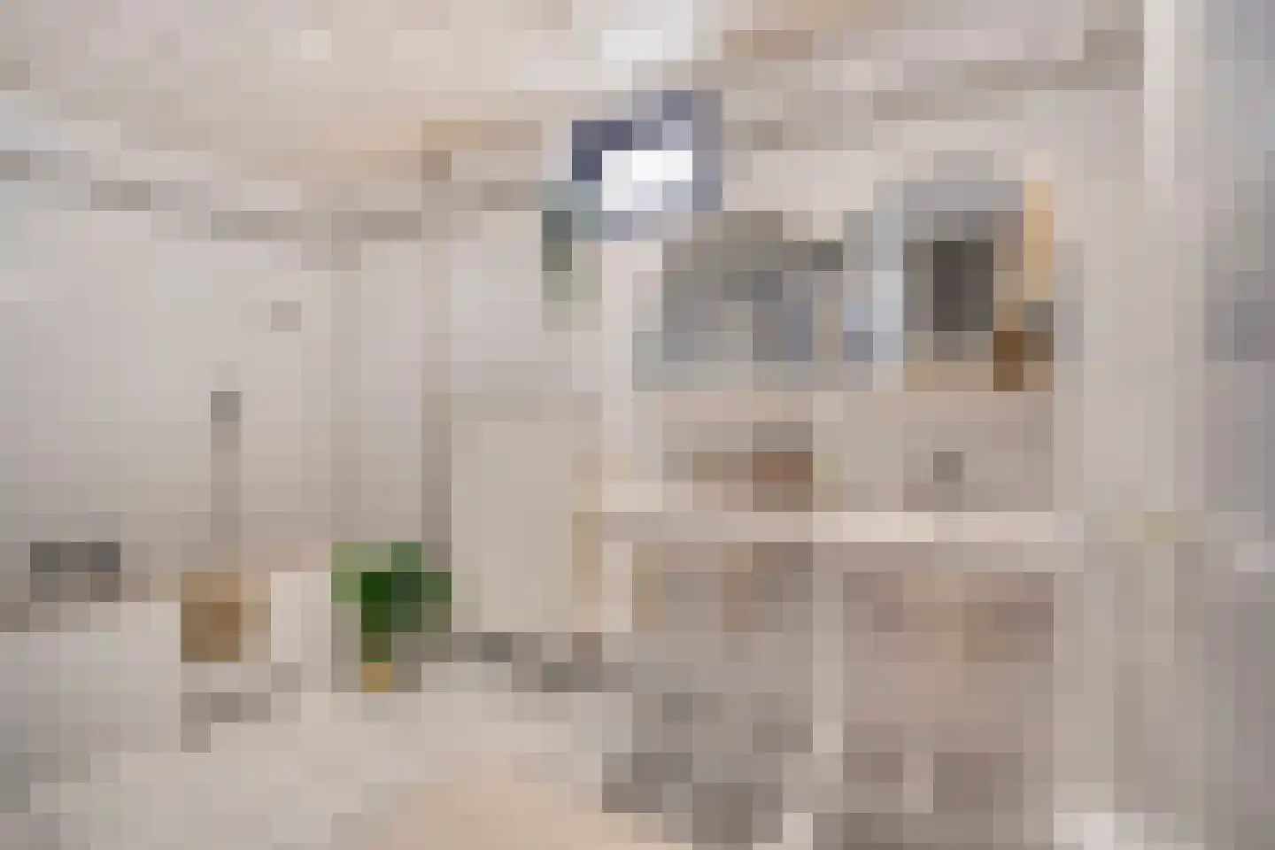 Markt 20 Beek thumbnail 23