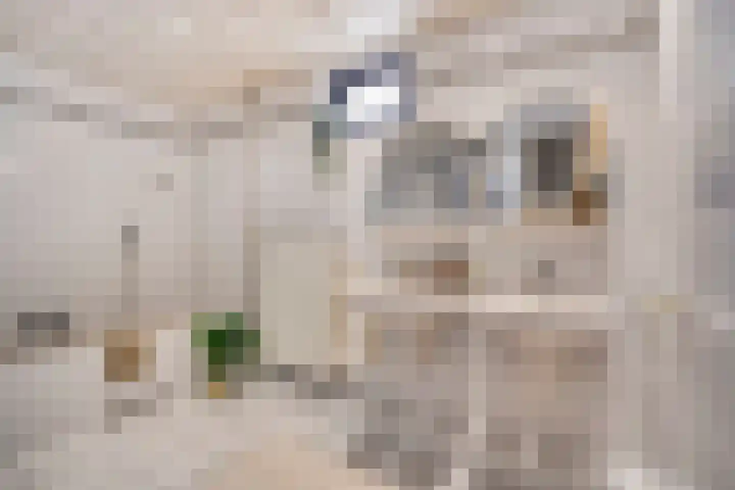 Markt 20 Beek thumbnail 23