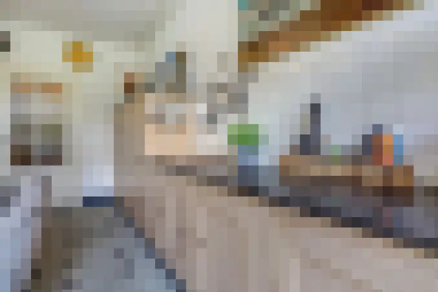 Markt 20 Geertruidenberg thumbnail 18