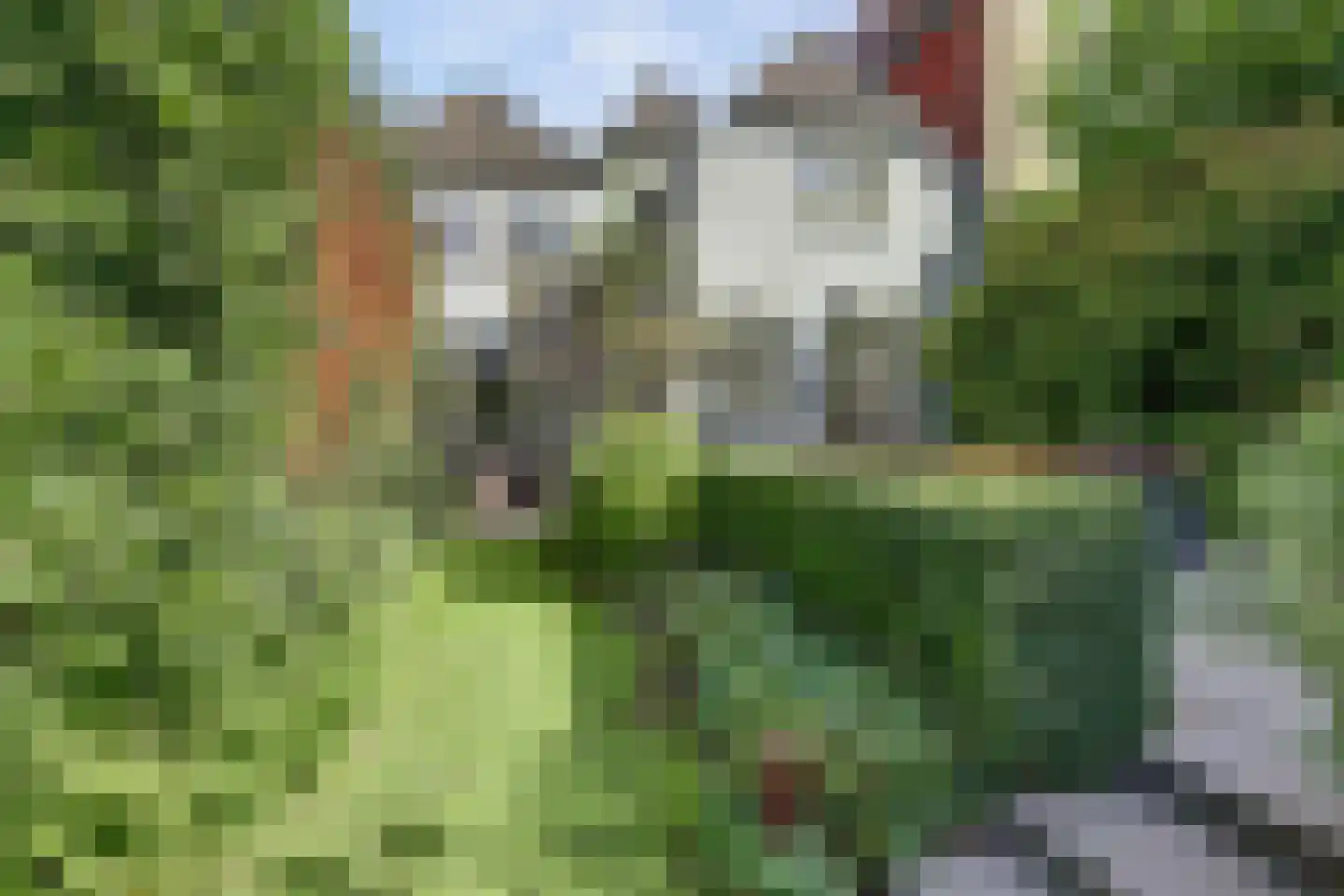 Markt 20 Geertruidenberg thumbnail 45
