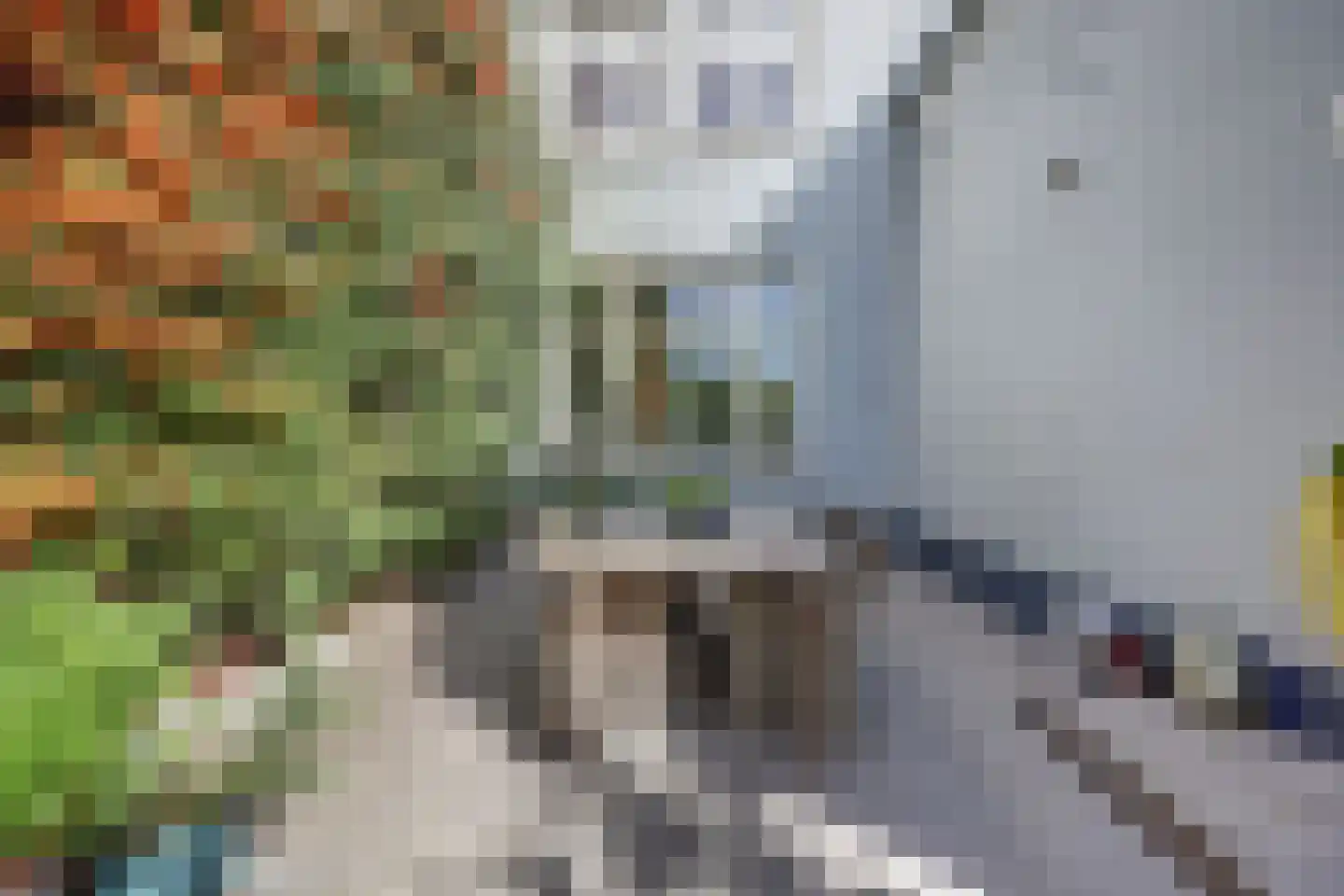 Markt 20 Geertruidenberg thumbnail 48