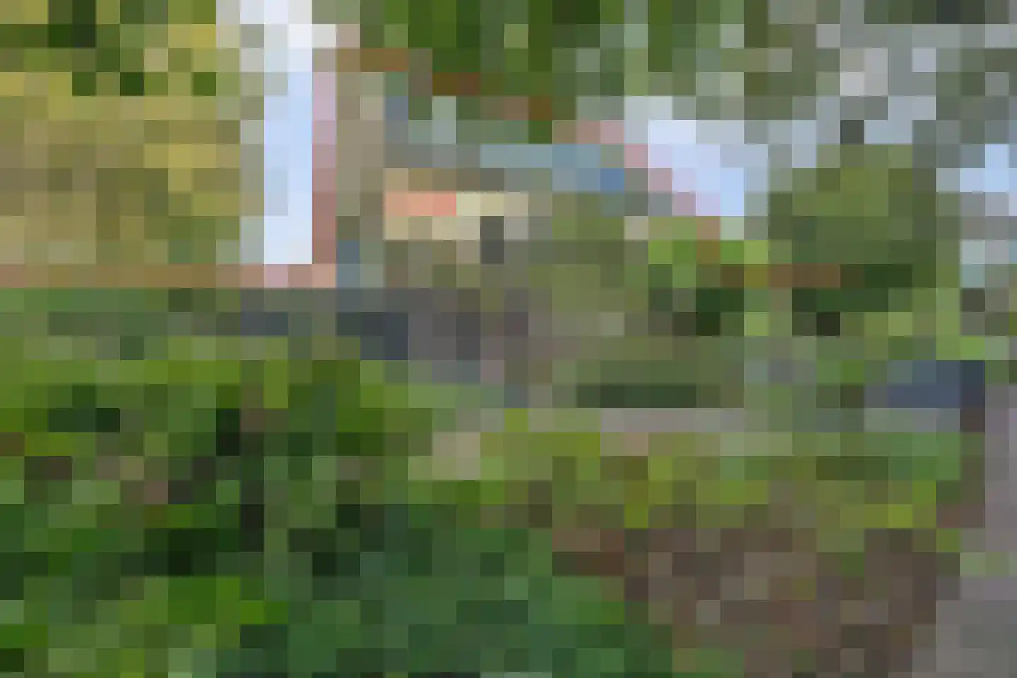 Markt 20 Geertruidenberg thumbnail 49