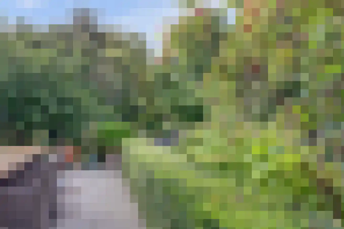 Markt 20 Geertruidenberg thumbnail 59