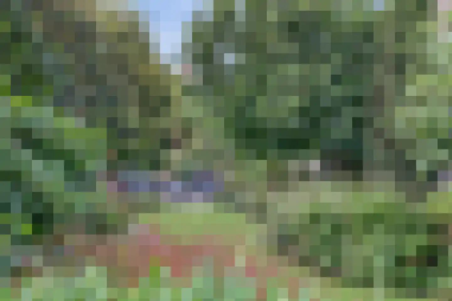 Markt 20 Geertruidenberg thumbnail 60