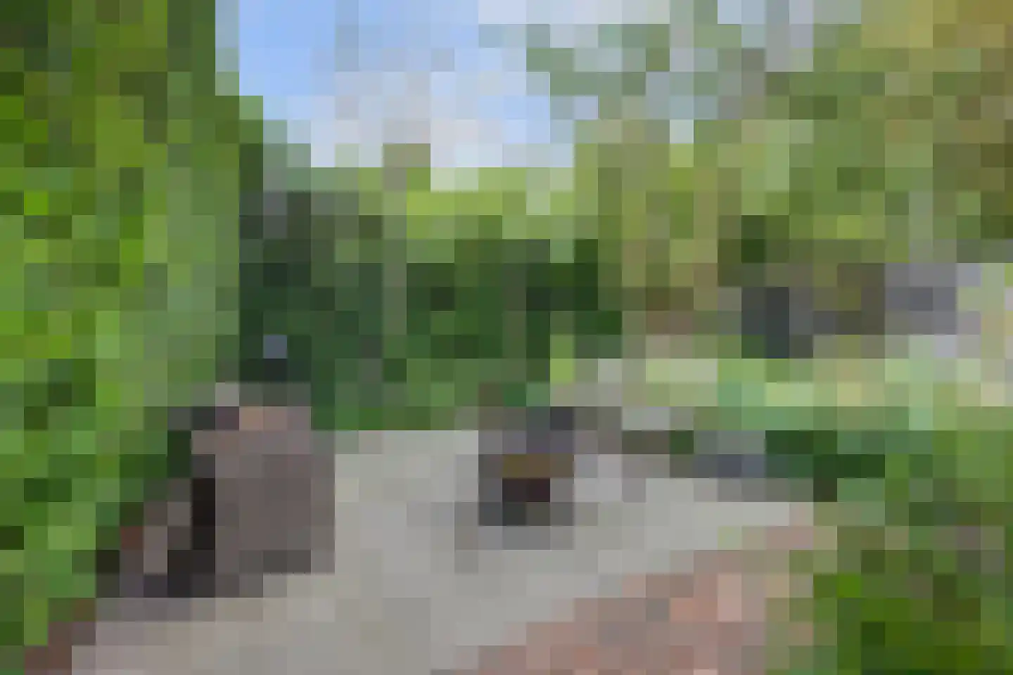 Markt 20 Geertruidenberg thumbnail 61
