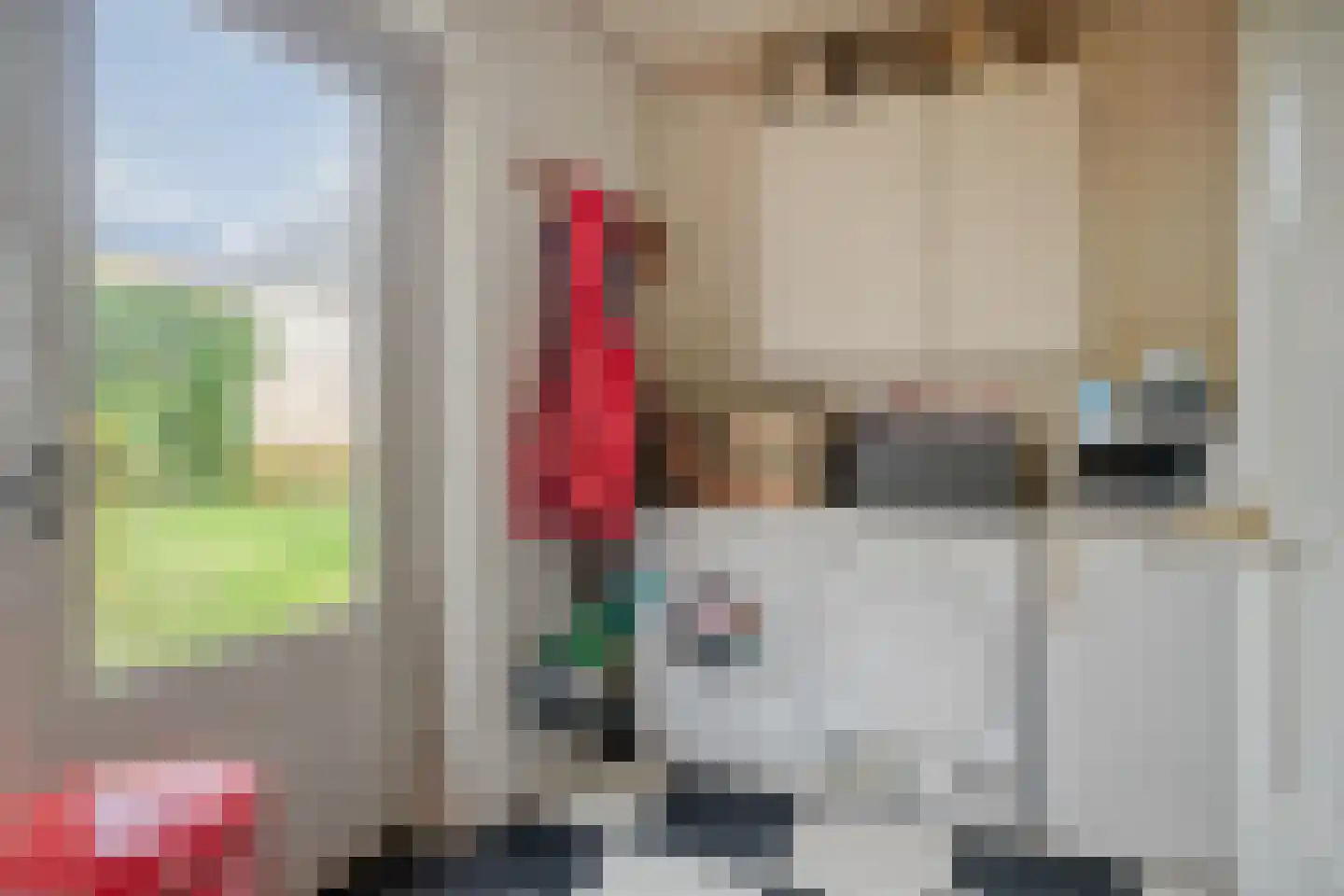 Markt 20 IJzendijke thumbnail 15