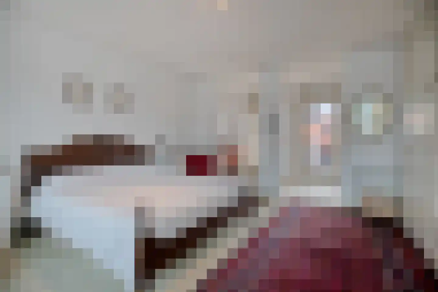 Markt 20 IJzendijke thumbnail 18