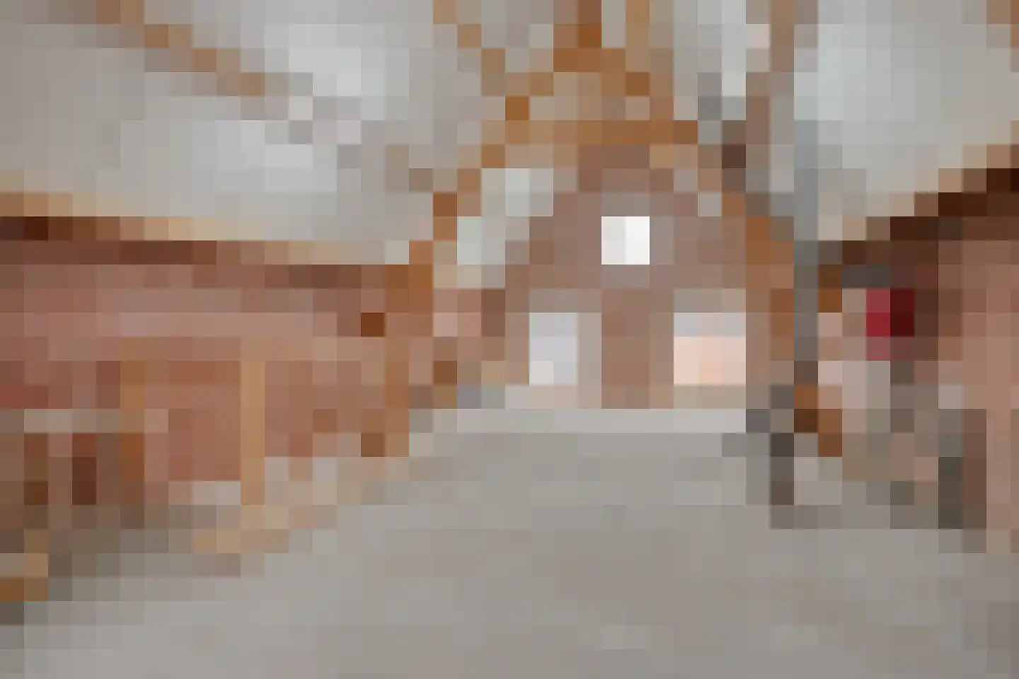 Markt 20 IJzendijke thumbnail 48