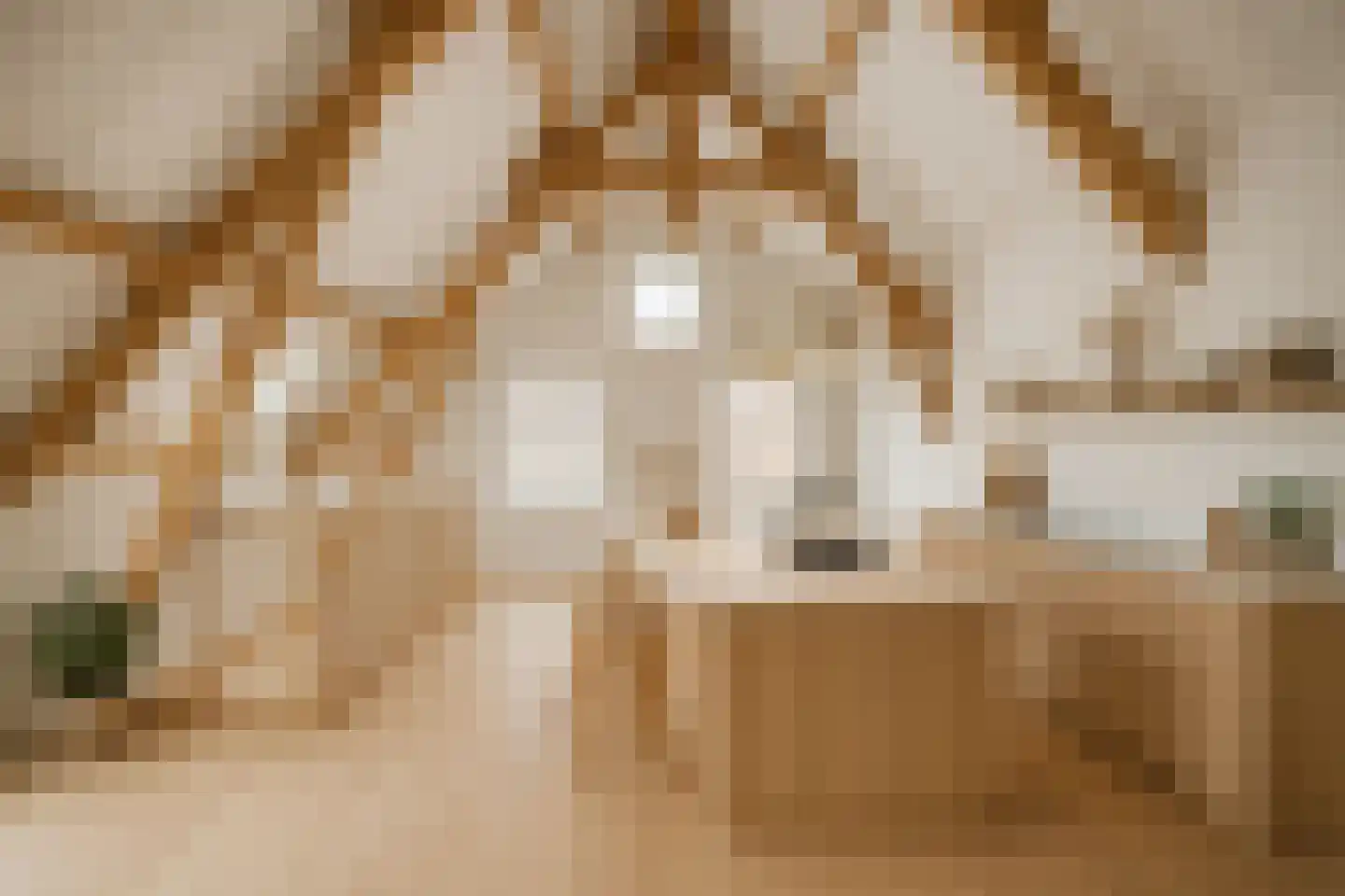 Markt 20 IJzendijke thumbnail 49