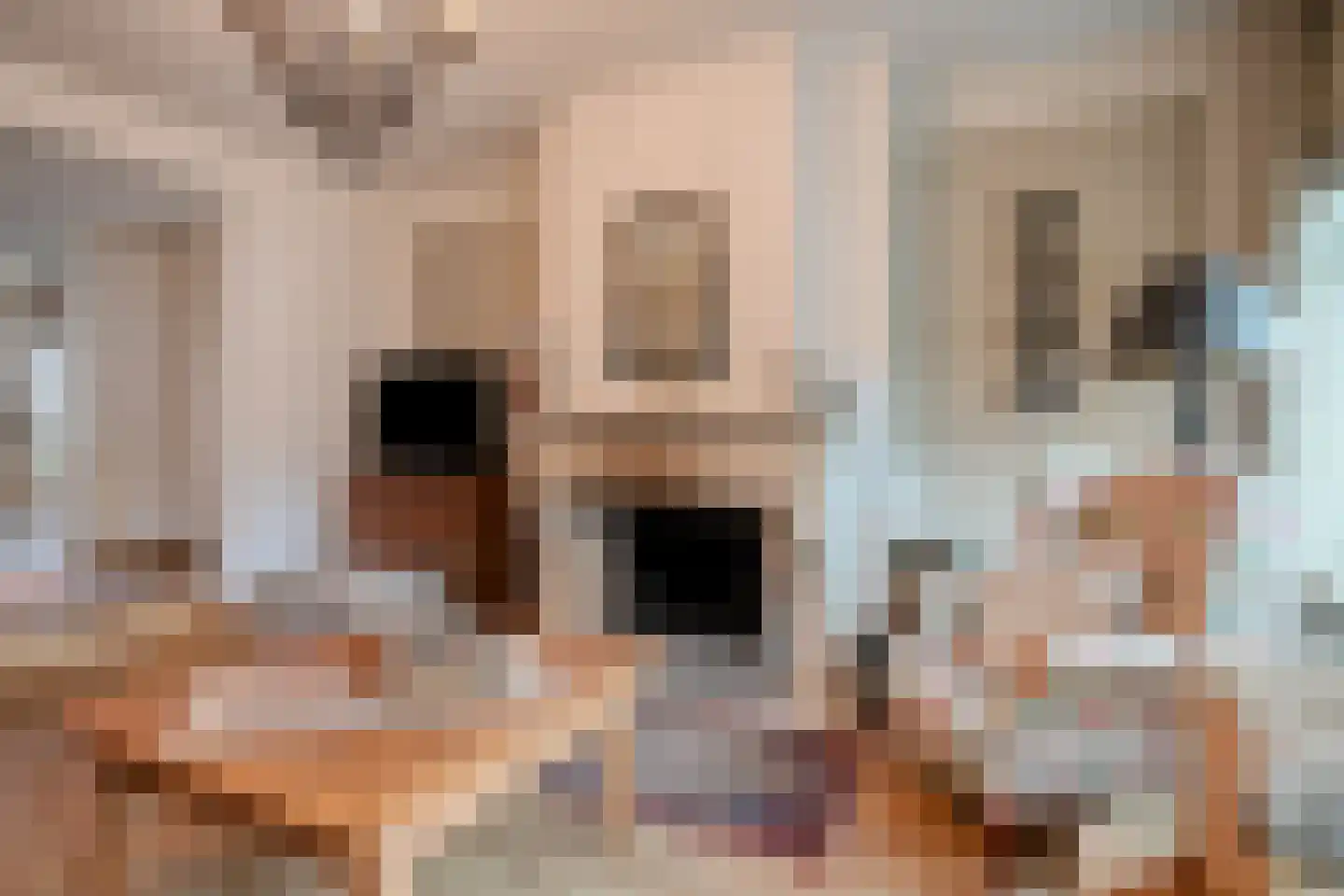 Markt 20 IJzendijke thumbnail 7