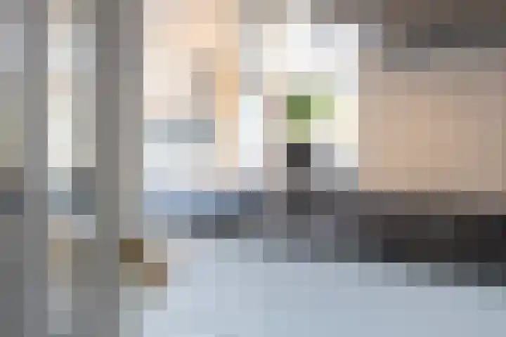 Markt 20 Oirschot thumbnail 21