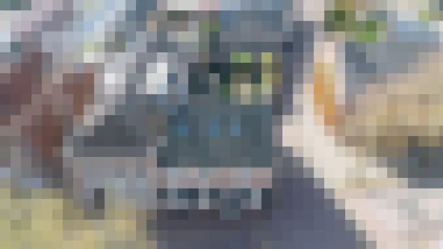 Markt 20 Oirschot thumbnail 5