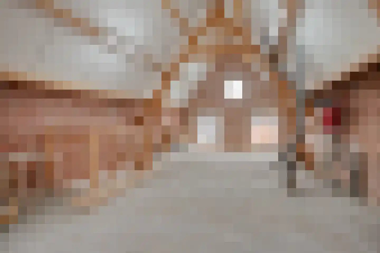 Markt 21 IJzendijke thumbnail 20