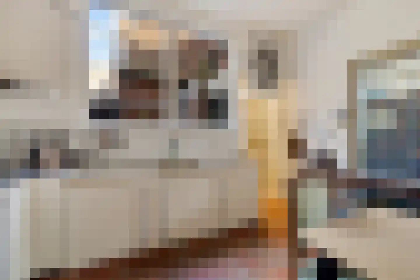 Markt 22 Dokkum thumbnail 11