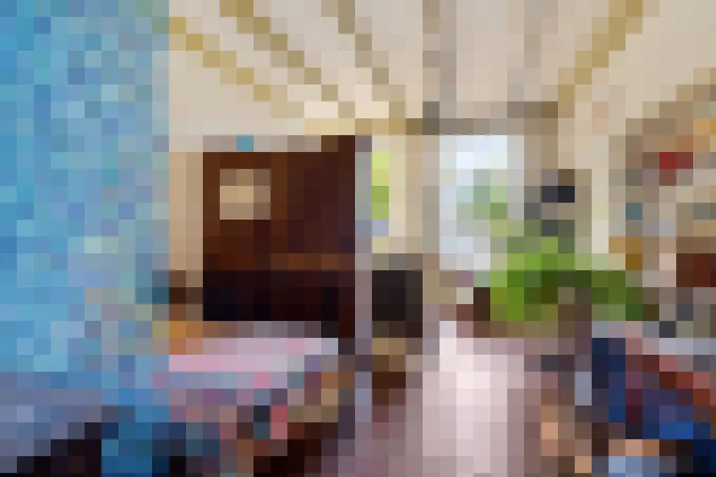 Markt 22 Dokkum thumbnail 19