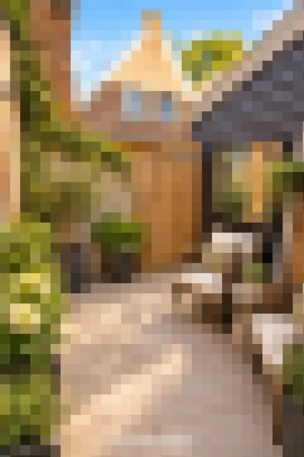 Markt 22 Dokkum thumbnail 35