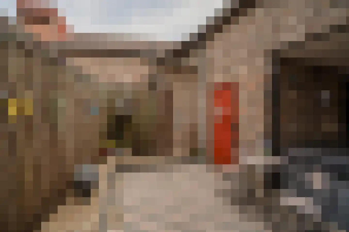 Markt 23 Nieuwstadt thumbnail 11
