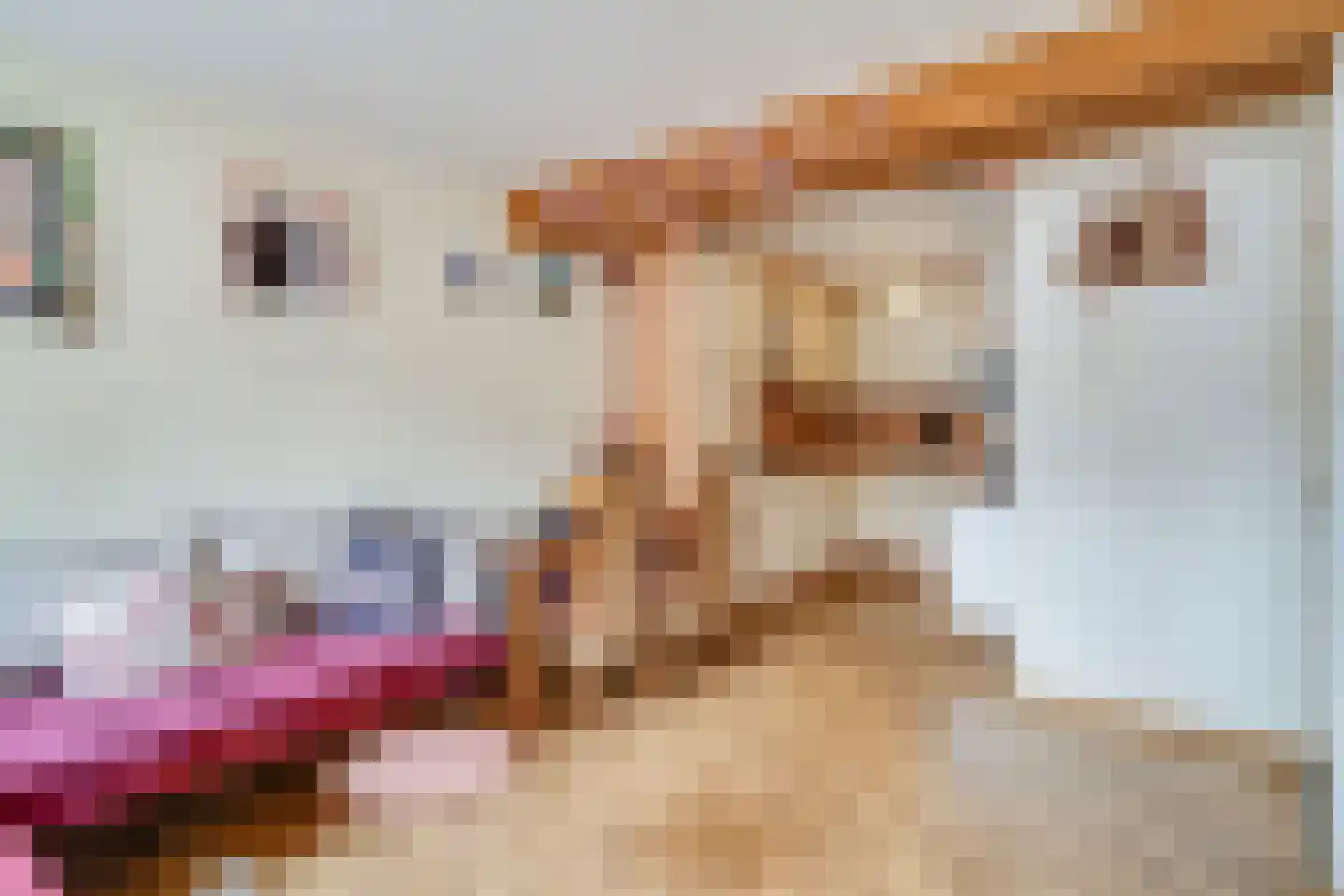 Markt 23 Nieuwstadt thumbnail 18
