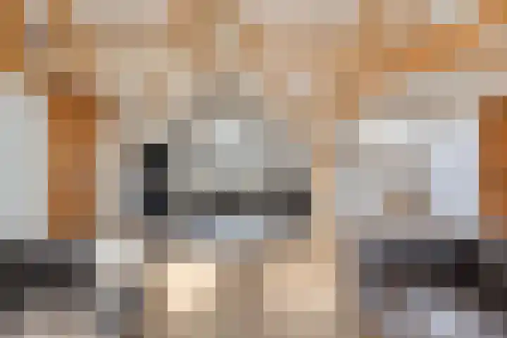 Markt 23 Poortvliet thumbnail 38
