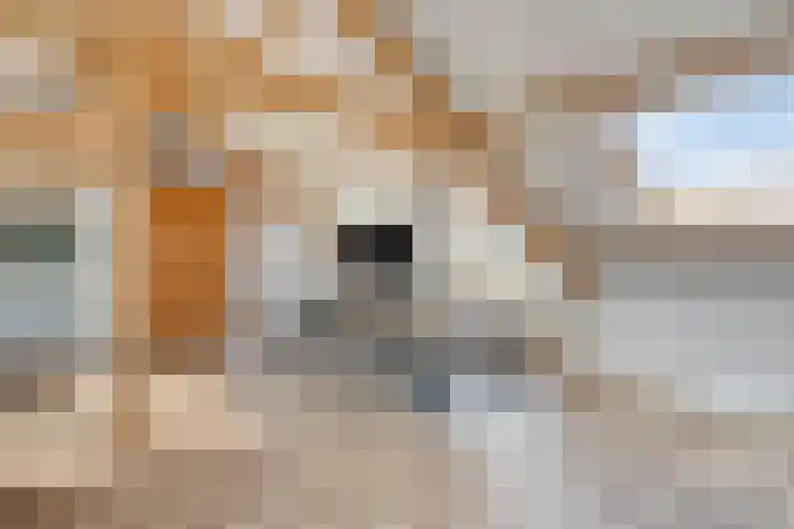 Markt 23 Poortvliet thumbnail 43