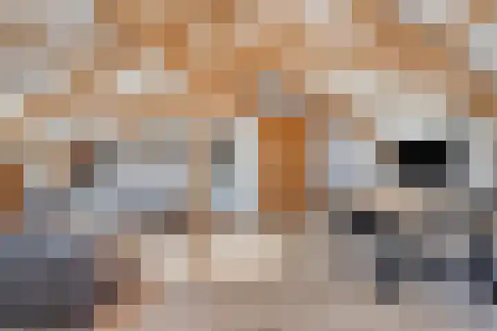 Markt 23 Poortvliet thumbnail 44