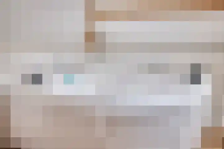 Markt 23 Poortvliet thumbnail 54