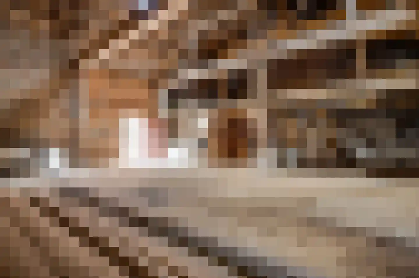 Markt 25 Montfort thumbnail 5