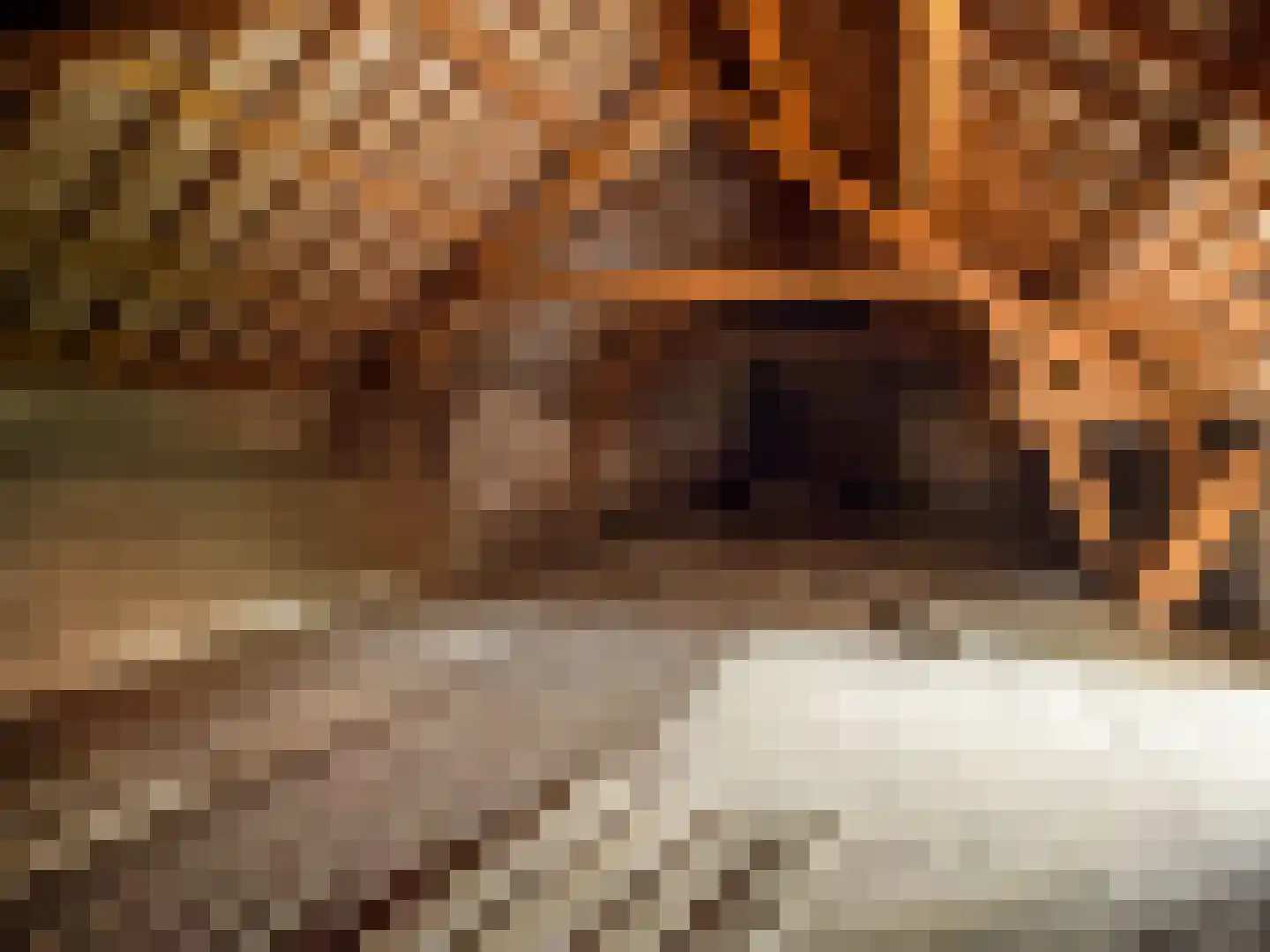 Markt 25 Montfort thumbnail 53