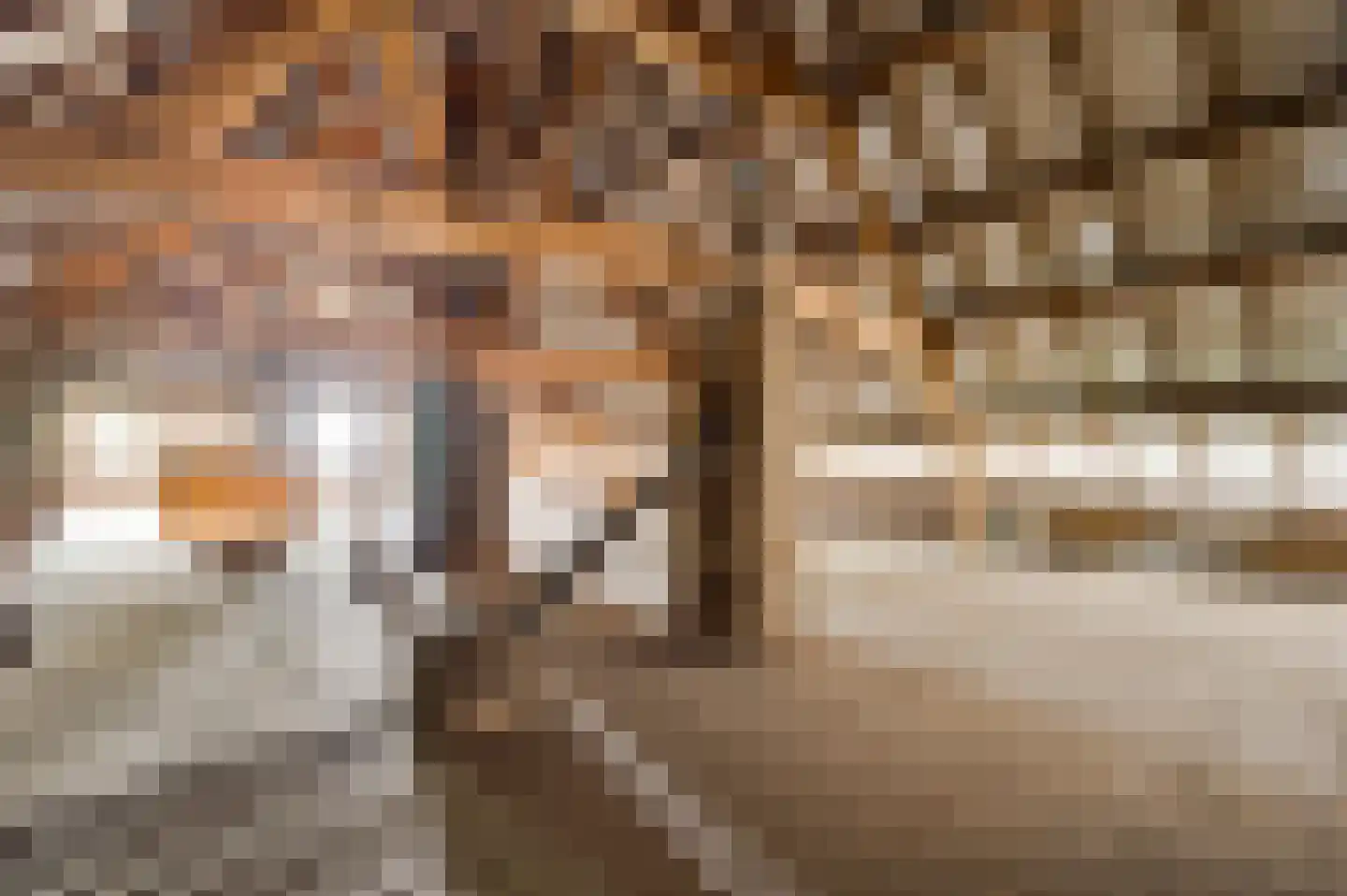 Markt 25 Montfort thumbnail 55