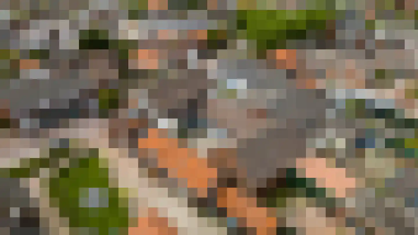 Markt 25 Montfort thumbnail 69