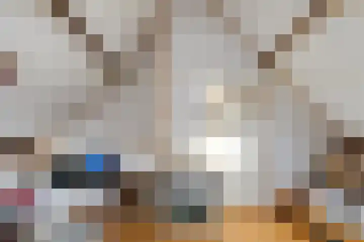 Markt 28 Kessel thumbnail 29