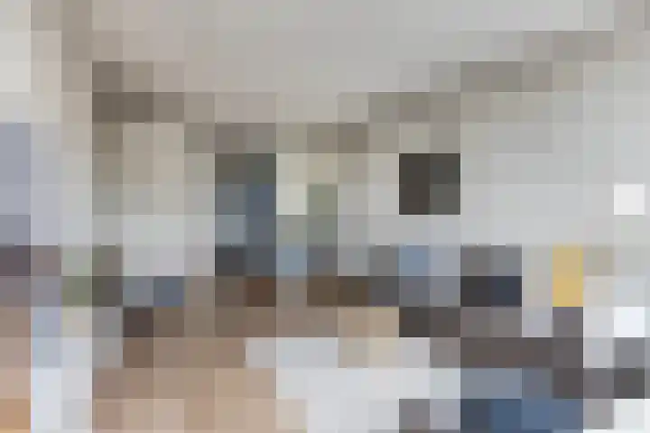 Markt 28 Rosmalen thumbnail 10