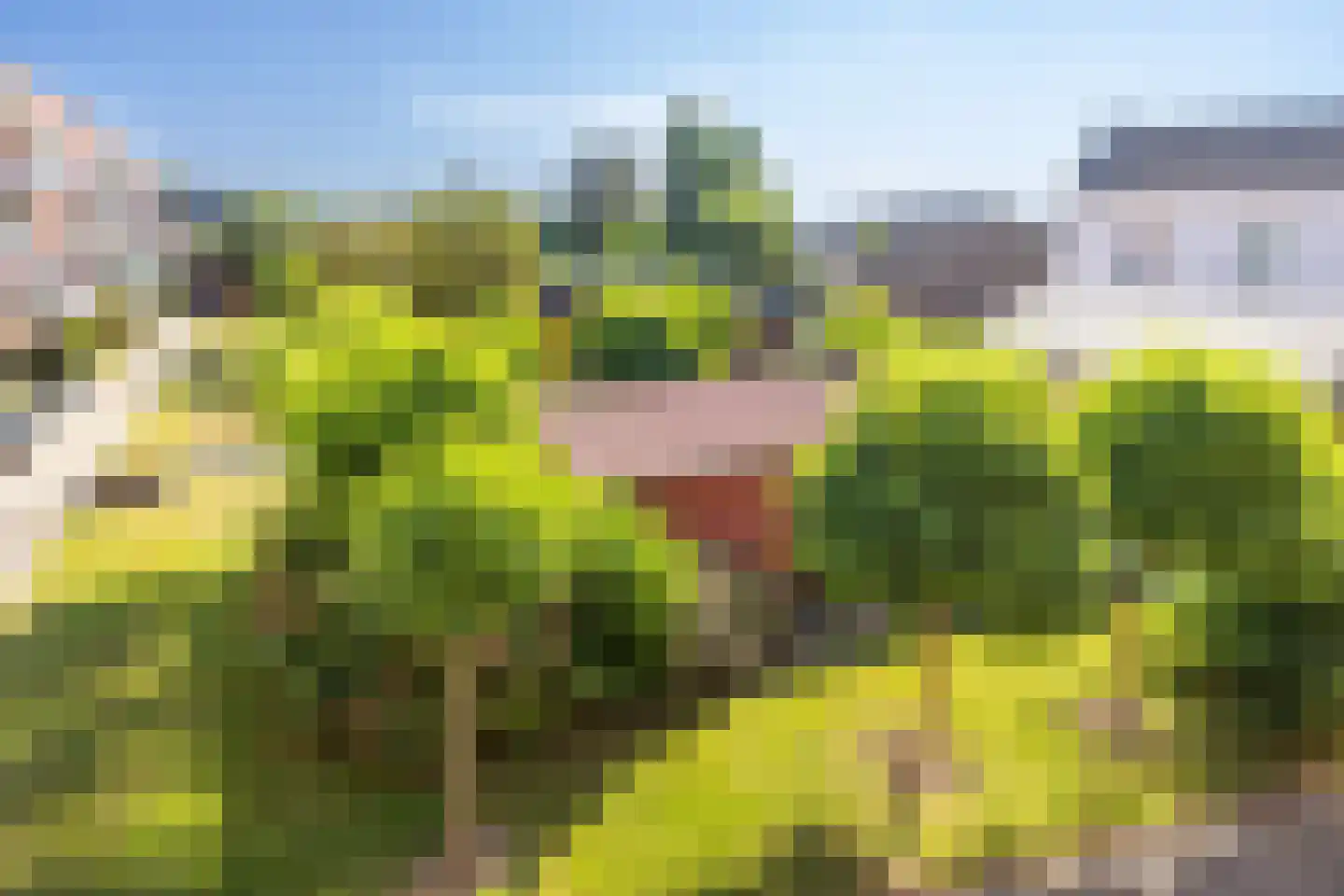 Markt 29 Beek thumbnail 35
