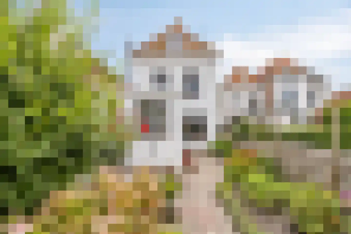 Markt 29 Brouwershaven thumbnail 20