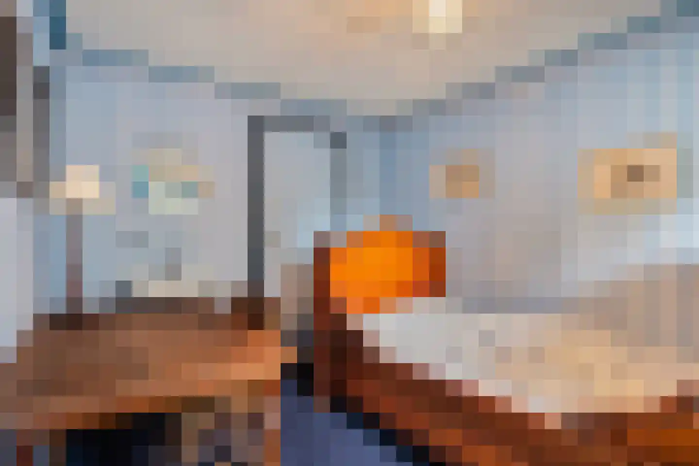 Markt 3 Groede thumbnail 20