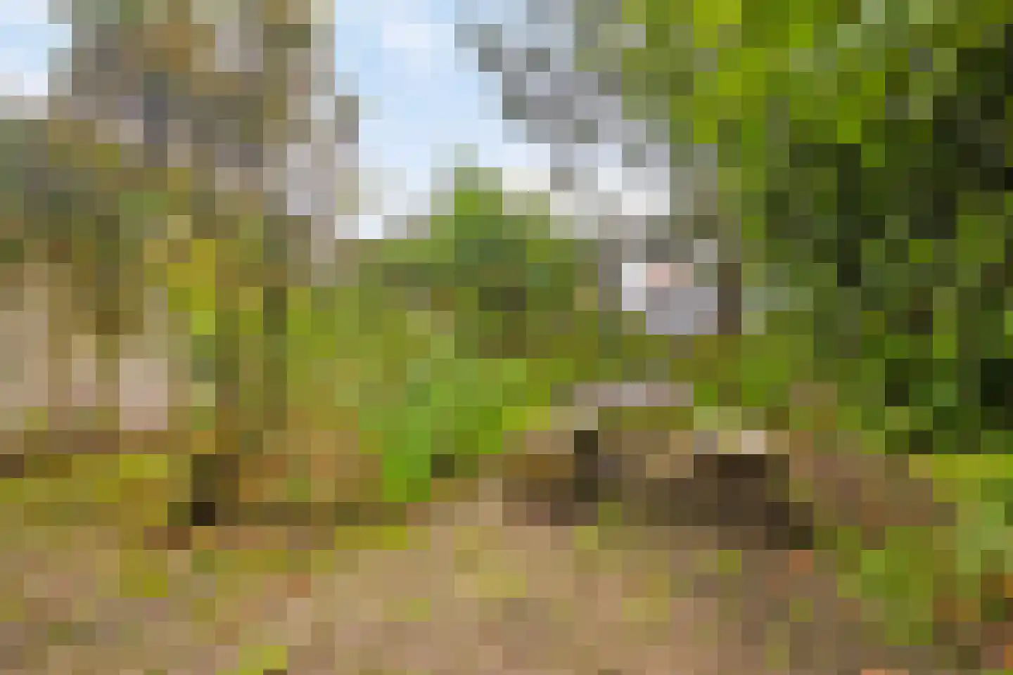 Markt 3 Groede thumbnail 25