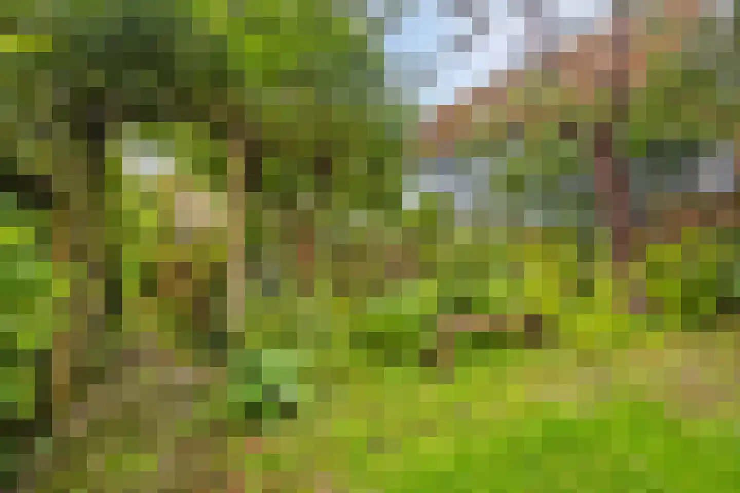 Markt 3 Groede thumbnail 26