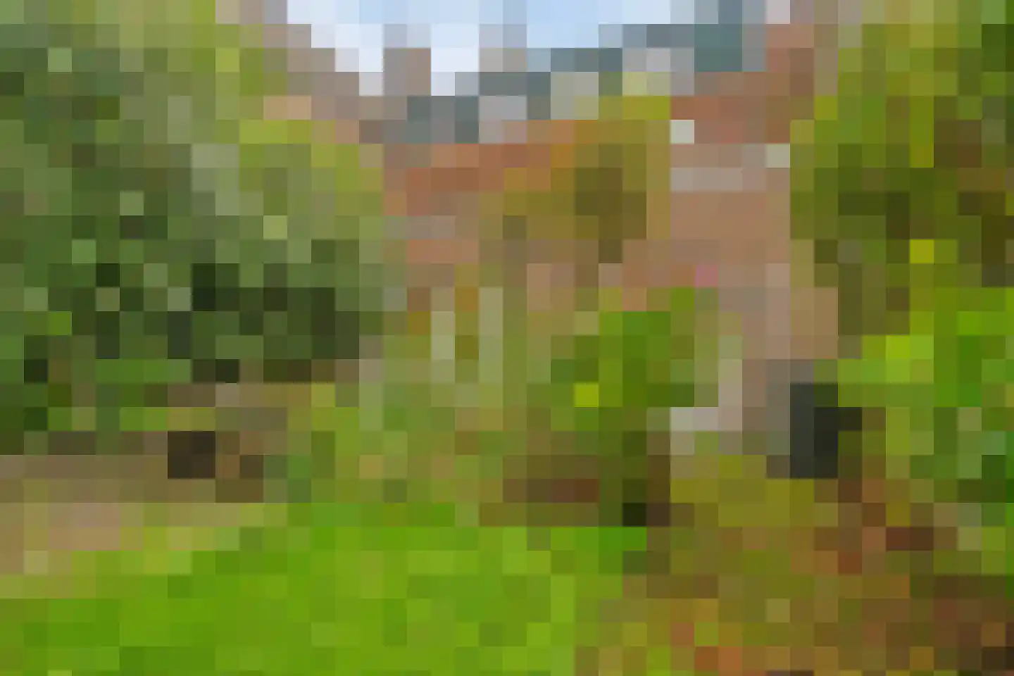 Markt 3 Groede thumbnail 27