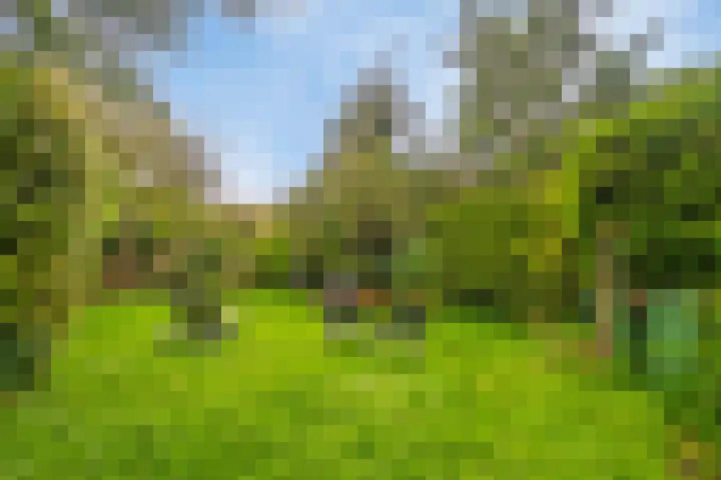 Markt 3 Groede thumbnail 28