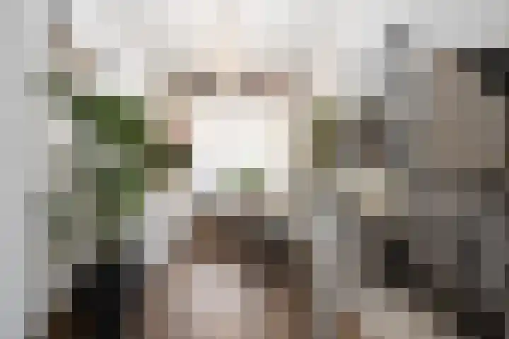 Markt 30 Boxtel thumbnail 7