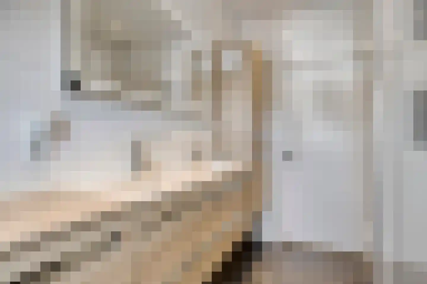 Markt 30 Prinsenbeek thumbnail 7