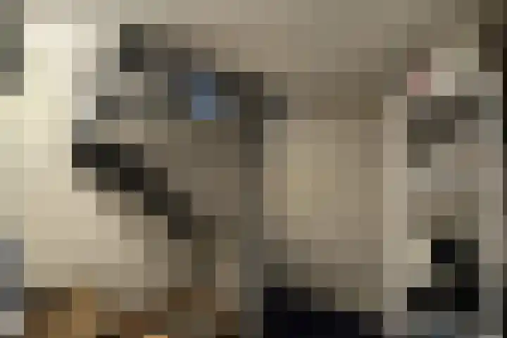 Markt 30 Standdaarbuiten thumbnail 34