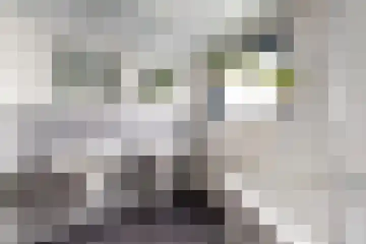 Markt 30 Standdaarbuiten thumbnail 43