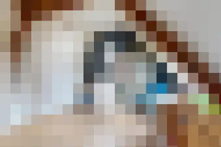 Markt 30 Standdaarbuiten thumbnail 49