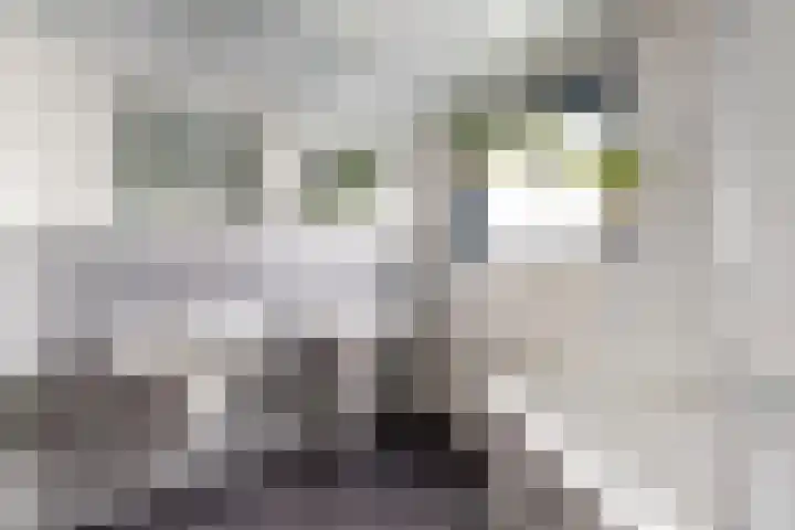 Markt 30 Standdaarbuiten thumbnail 5