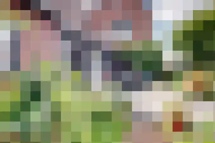 Markt 30 Standdaarbuiten thumbnail 57