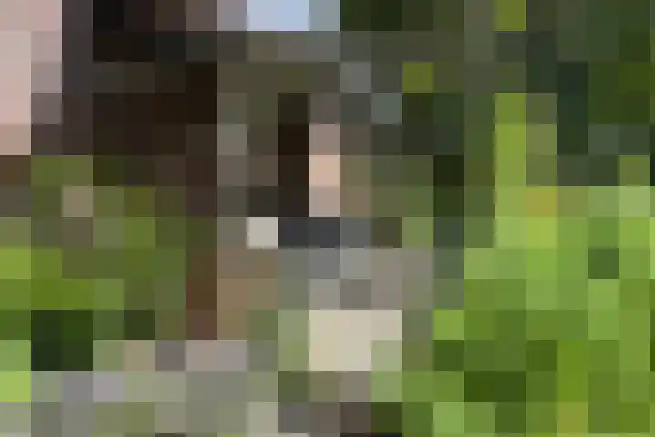 Markt 30 Standdaarbuiten thumbnail 59