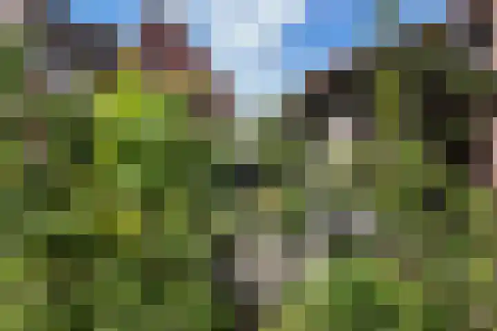 Markt 30 Standdaarbuiten thumbnail 60