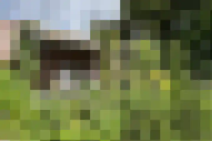 Markt 30 Standdaarbuiten thumbnail 61