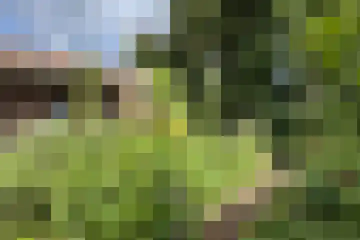 Markt 30 Standdaarbuiten thumbnail 62